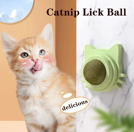 Catty Catnip